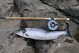 2014-06-24 Bens_firstever_Salmon_River_Mourne_05